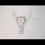 Casa Leo * デニア